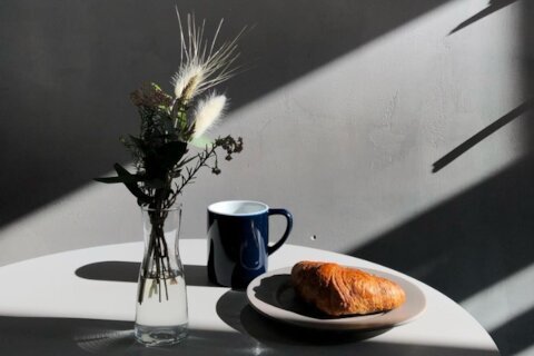 Mountain Coffee — уютные завтраки и спешелти на Чернышевской