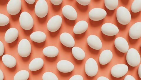 Яйца по-взрослому: учимся отличать пашот, скрэмбл и шакшуку