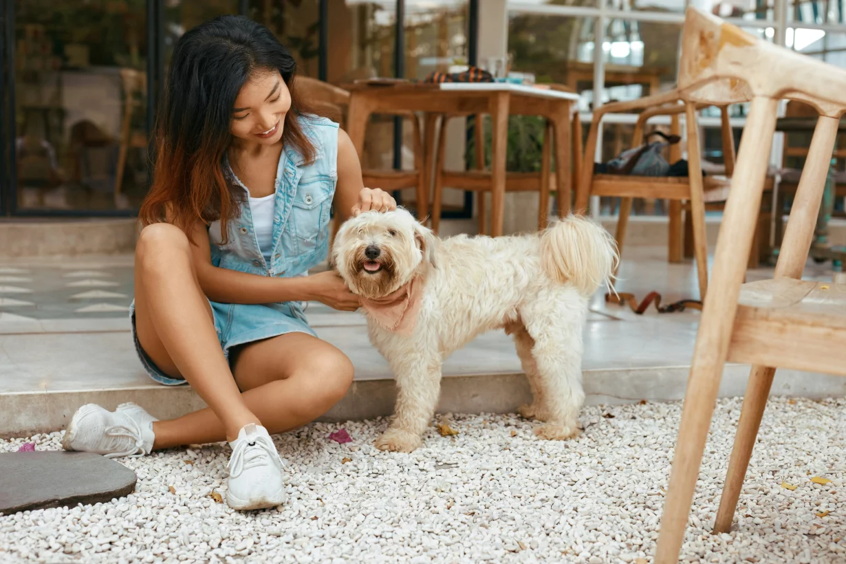 Dog-friendly Москва: 12 заведений, где рады собакам (и людям)
