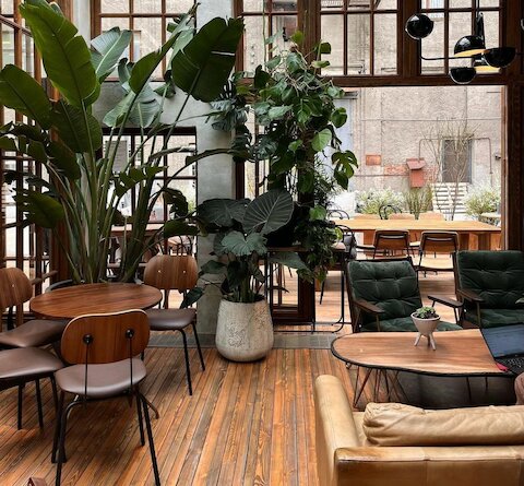 Radio: ресторан-оранжерея в Басманном районе