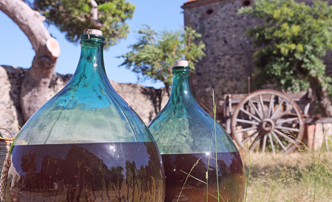 Органическое, биодинамическое и натуральное вино: в чем разница