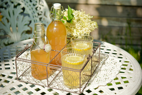 Что такое кордиал для коктейлей и зачем он нужен?