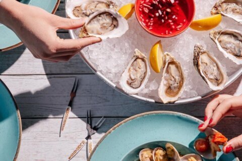 «Морские брызги» и очень много рыбы в «Муссоне» на Добрынинской