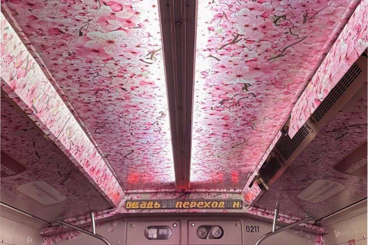 Корюшка под сакурой: Restoclub Тренды