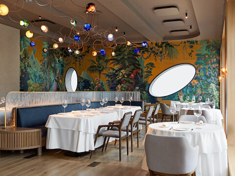 Главные открытия ноября