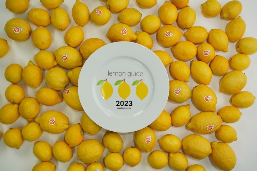 Lemon Guide 2023
