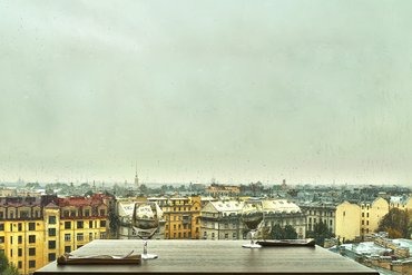 «Паруса на крыше»: редкий вид и «понятная» еда