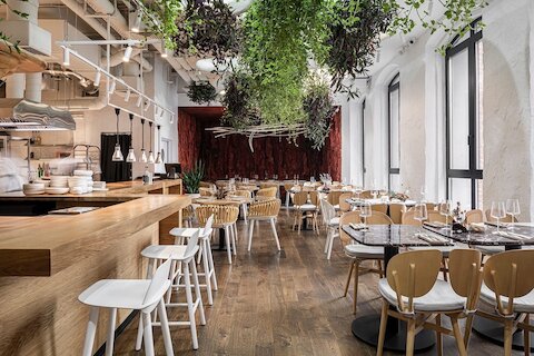 Sapiens: эволюция вкуса в центре Москвы