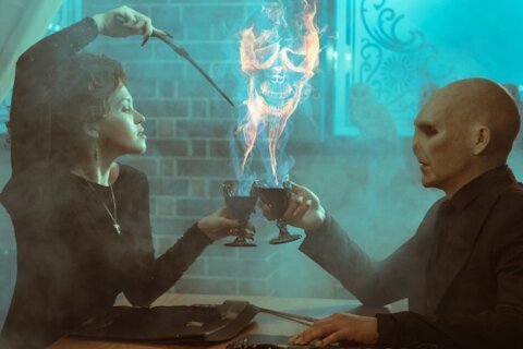 Волшебное всё в Platforma в ТРЦ «Гринвич»