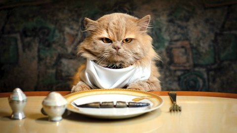 Как изменились вкусы гостей за этот год?