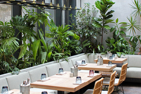 Jungle: завтраки в стиле fine casual рядом с Казанским