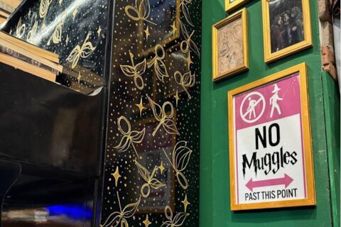 «Никаких маглов». Главные открытия февраля в Москве