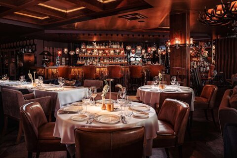 Обязательно к посещению: Red Fox на Розе Хутор