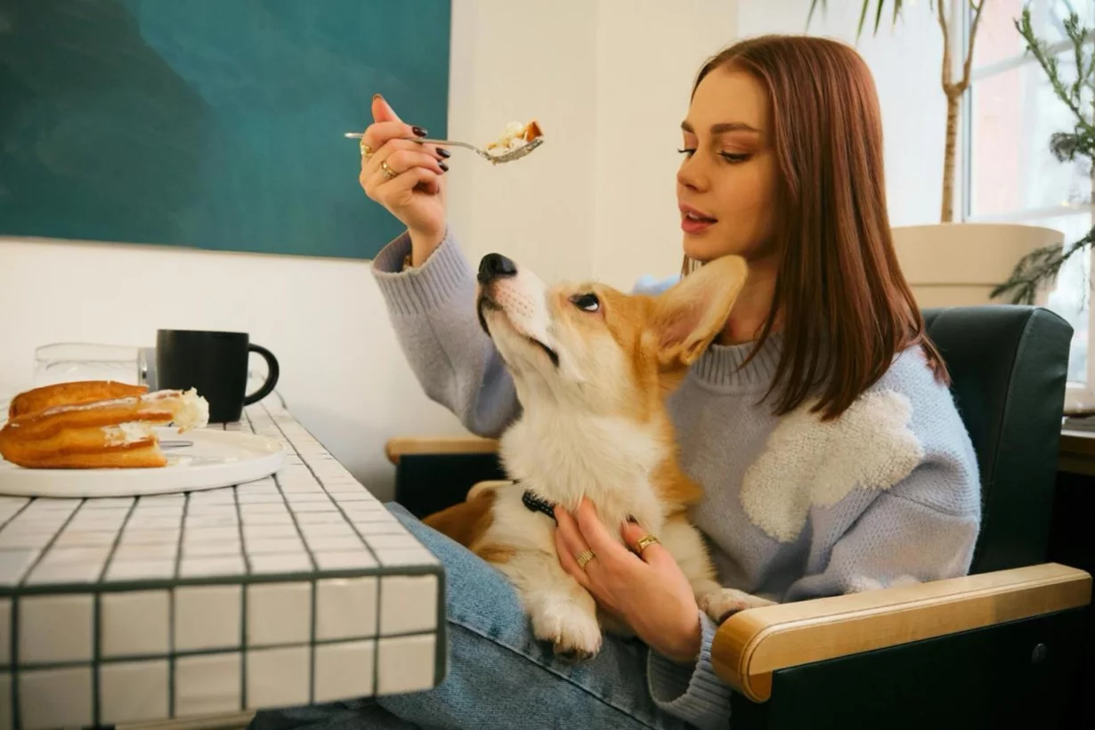 Pet-freindly рестораны Петербурга