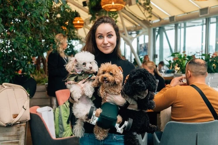 Pet-friendly мероприятие в Карлсон от Ginza Group