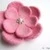 Polli