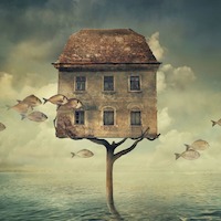 Рита Лаева