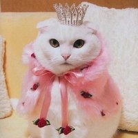 Настя Царева