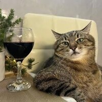 Алина Скуйбида