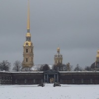 Гниденко Анна
