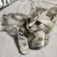 Дроздова Юлиана