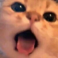 Евгения Рисова