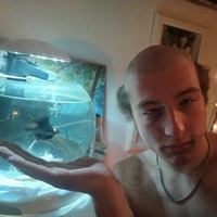 Прокофьев Артемий