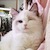 Кошкина Елена