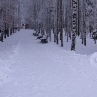 Силантьева Татьяна