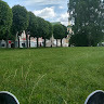 железо