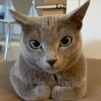 Бондарь Кирилл
