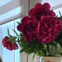 Лазарькова Анжелочка