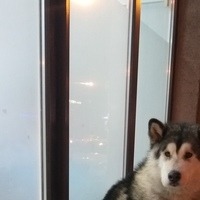 Поляков Николай