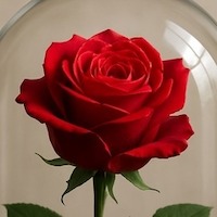 Алексеевна Валентина