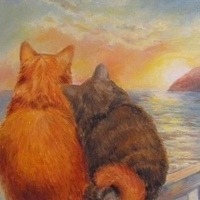 Соколов Игорь