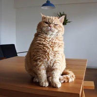 Васьковский Эдуард