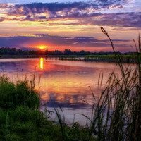 Оля Захарова
