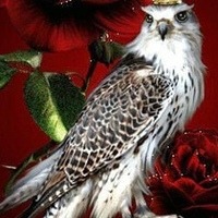 Сарксян Асмик