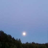 Журавлева Ангелина