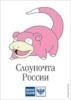Nikita Shevcov