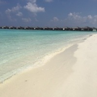 Русанова Анна