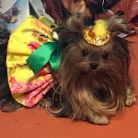 Максимова Виктория