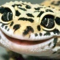Красницкая Наталия