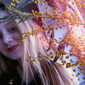 Alvina Sofronova