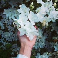 Ольховников Дмитрий
