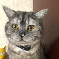 Андрей Нефороф