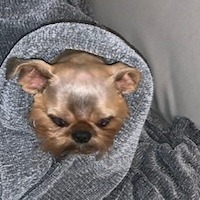 Дмитрий