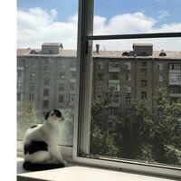 Егор Дементьев
