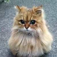 Сергей Колыхаев