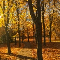 Печерских Анна